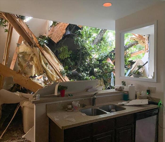 Tree branch fell through the roof of a home in Atlanta, GA.